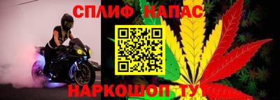 spice Апшеронск