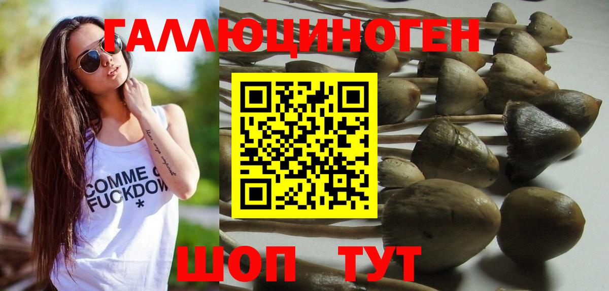 Псилоцибиновые грибы ЛСД  Псилоцибиновые грибы MAGIC MUSHROOMS  Волжск  Вход с VPN 